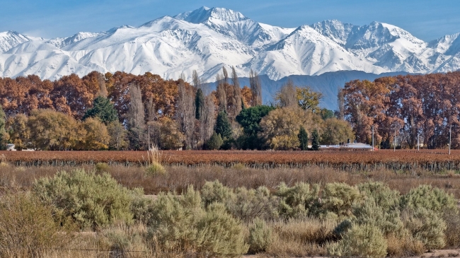 Viaje a Mendoza con todo incluido